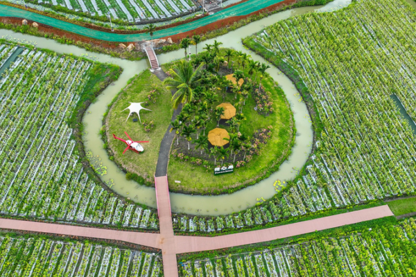 Hainan’s Tropical Fruit Kingdom Opens for Exploration 🥭🌴 Hainan's Tropical Fruit Kingdom Opens for Exploration 🥭🌴 video poster