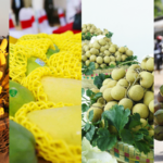 BPSHIIKEES1HSC3N98UB - 🌍NewspaperAmigo – Your Global News Buddy 🗞️ Cambodian Fruits Bloom in China as Trade Ties Strengthen 🥭🌱