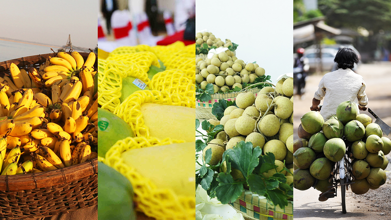 BPSHIIKEES1HSC3N98UB - 🌍NewspaperAmigo – Your Global News Buddy 🗞️ Cambodian Fruits Bloom in China as Trade Ties Strengthen 🥭🌱