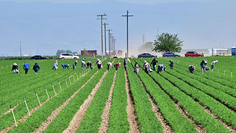 C3UTM4R6WZ15WI1PKTZD - 🌍NewspaperAmigo – Your Global News Buddy 🗞️ U.S. Farmers Feel the Sting of Trump Tariffs 🚜💸
