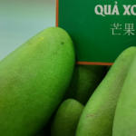 C79QONEXH91Q7LYNSU8W - 🌍NewspaperAmigo – Your Global News Buddy 🗞️ Vietnam's Tropical Fruits Take China by Storm 🌏🥭💥