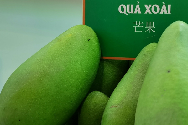 Vietnam’s Tropical Fruits Take China by Storm 🌏🥭💥 Vietnam's Tropical Fruits Take China by Storm 🌏🥭💥