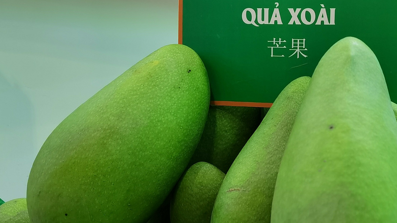 C79QONEXH91Q7LYNSU8W - 🌍NewspaperAmigo – Your Global News Buddy 🗞️ Vietnam's Tropical Fruits Take China by Storm 🌏🥭💥