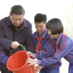 Leaders in Green: A Decade of China’s Tree-Planting Legacy 🌱 video poster