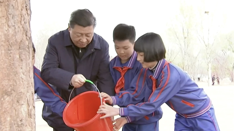 Leaders in Green: A Decade of China’s Tree-Planting Legacy 🌱 video poster