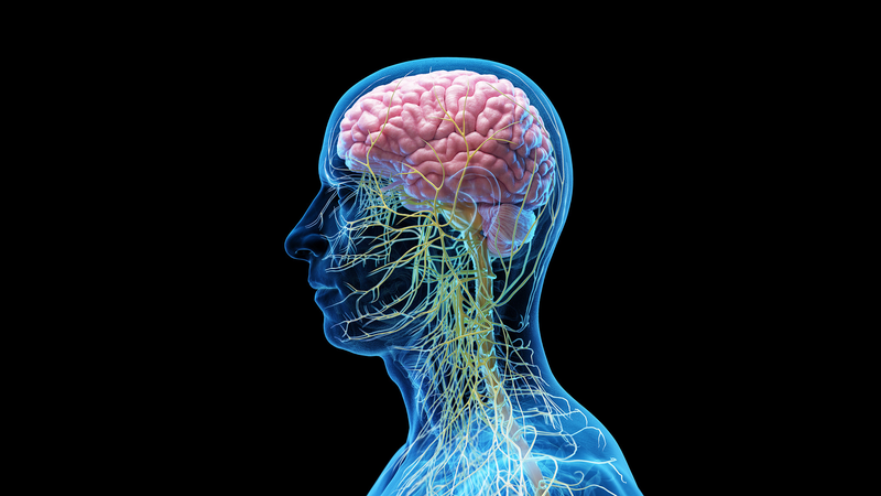 EASDGAXU1ZZN9M2MNGE3 - 🌍NewspaperAmigo – Your Global News Buddy 🗞️ Neck Surgery Breakthrough Offers New Hope for Alzheimer’s Patients 🧠💉
