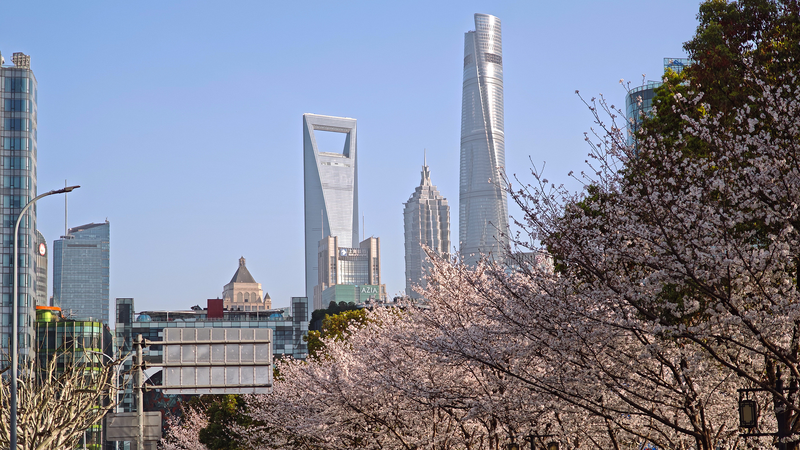 Global Investors Double Down on China's Market Boom 📈🌏