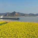 China’s Yangtze River Gets Eco-Boost 🏞️