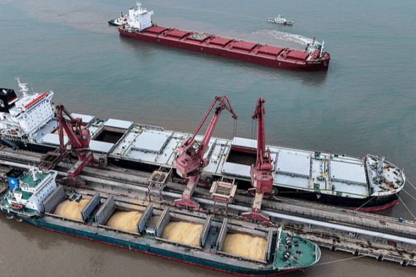 China Vows Food, Energy Security Amid U.S. Trade Tensions 🌾⚡