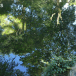FE3EQG1NQEP0WJ6OO0AB - 🌍NewspaperAmigo – Your Global News Buddy 🗞️ Suzhou Gardens: Where Ancient Zen Vibes Meet Modern Wanderlust 🌿✨