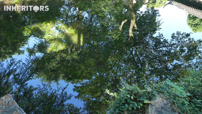 Suzhou Gardens: Where Ancient Zen Vibes Meet Modern Wanderlust 🌿✨