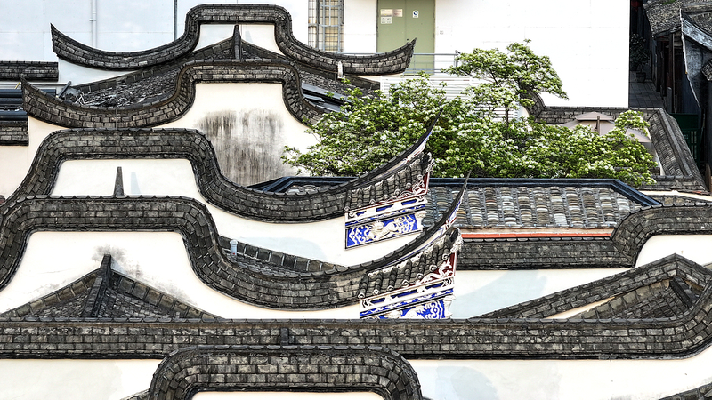 FJCLJ5MM1ZU0BCCA34UB - 🌍NewspaperAmigo – Your Global News Buddy 🗞️ Fuzhou's Ancient Alleys Bloom with Delicate Fringe Tree Flowers 🌸🏮