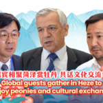 FZWK1NQIWFGHWYKIVM86 - 🌍NewspaperAmigo – Your Global News Buddy 🗞️ Global Fest in Heze: Peonies Unite Cultures 🌸🌍 video poster