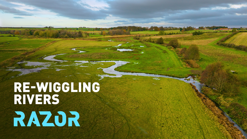 UK’s River ‘Re-Wiggling’ Movement Brings Nature Back to Life 🌊🐦 UK’s River ‘Re-Wiggling’ Movement Brings Nature Back to Life 🌊🐦 video poster