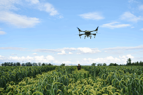 🌱✈️ China Skyrockets as Global Leader in Farming Drones: U.S. Report