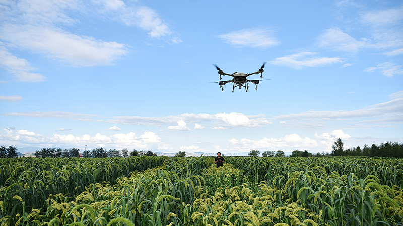 IYE3WHPB1DBBUU0FK6N3 - 🌍NewspaperAmigo – Your Global News Buddy 🗞️ 🌱✈️ China Skyrockets as Global Leader in Farming Drones: U.S. Report