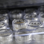 China Shares Lunar Rocks with Global Scientists, Including U.S. 🚀🌕