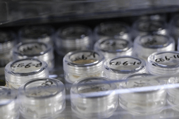 China Shares Lunar Rocks with Global Scientists, Including U.S. 🚀🌕