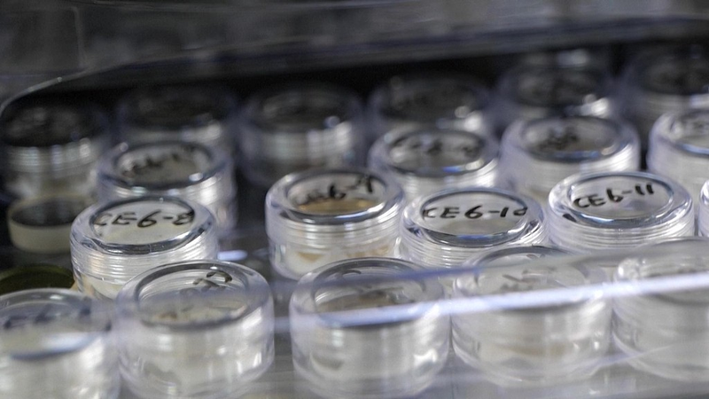 China Shares Lunar Rocks with Global Scientists, Including U.S. 🚀🌕