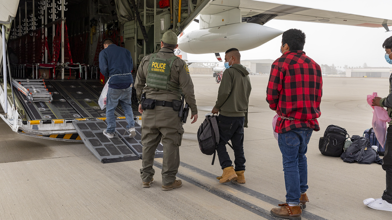 Immigration Clampdown Threatens Bird Flu Fight in U.S. 🚨🦠