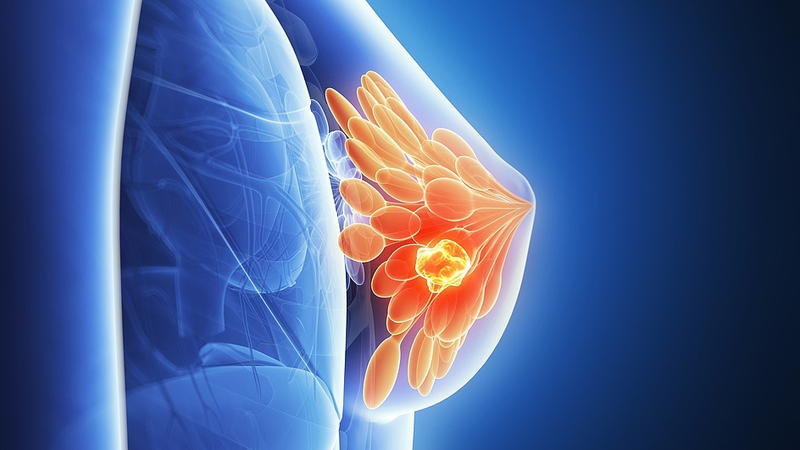 Sleeping Cancer Cells: Breakthrough Could Stop Relapse 🌟🧬