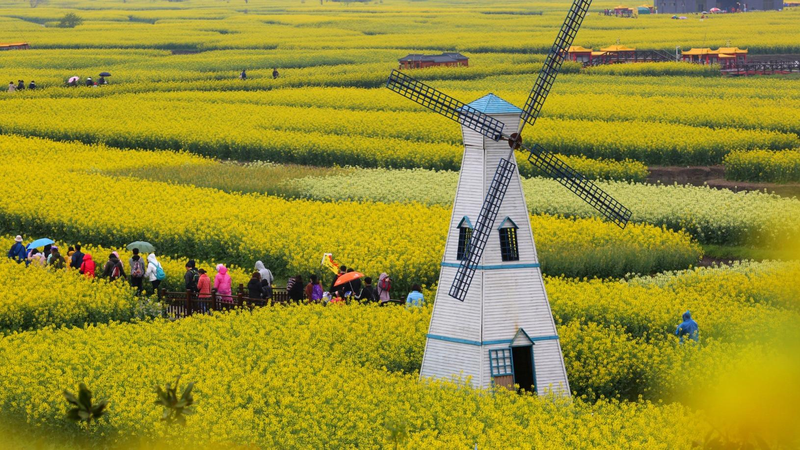 Spring Travel Boom: High-Speed Rail & Floral Adventures in China 🌸🚄