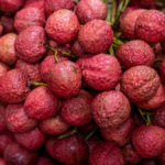 JNF58TSE802LDDV244PU - 🌍NewspaperAmigo – Your Global News Buddy 🗞️ Vietnam Lychees Sweeten Trade Ties with Chinese Markets 🍒🌏