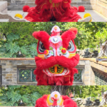 JOG636VTZD9EELETIQRL - 🌍NewspaperAmigo – Your Global News Buddy 🗞️ Lion Shows Off Every Human Emotion: From Sleepy Blinks to Drama Queen Twitches 🦁 video poster