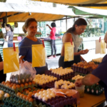 Brazil’s Egg Prices Fly High Amid U.S. Shortage & Record Heat 🥵🍳 video poster