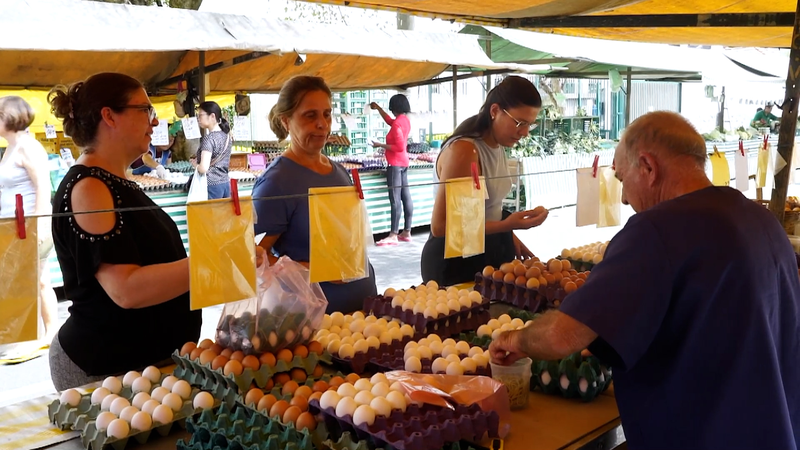 K0NCAGOSO601AJ6ICE41 - 🌍NewspaperAmigo – Your Global News Buddy 🗞️ Brazil’s Egg Prices Fly High Amid U.S. Shortage & Record Heat 🥵🍳 video poster