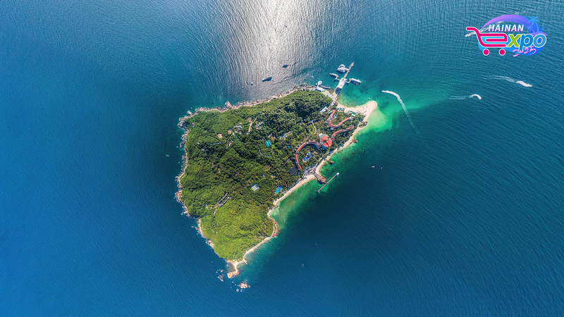KLTXKEF1GRLFVOK2CJ0Y - 🌍NewspaperAmigo – Your Global News Buddy 🗞️ 🌊 Live Dive Reveals Hainan's Underwater Paradise – Ep. 2 video poster