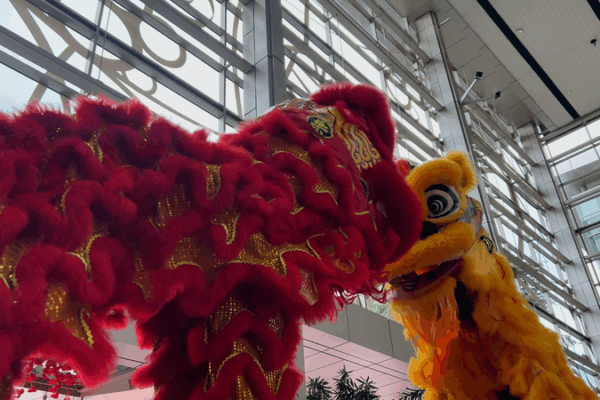 🦁 Lion Dance Bridges China & Malaysia: Culture Unites! 🌏 video poster