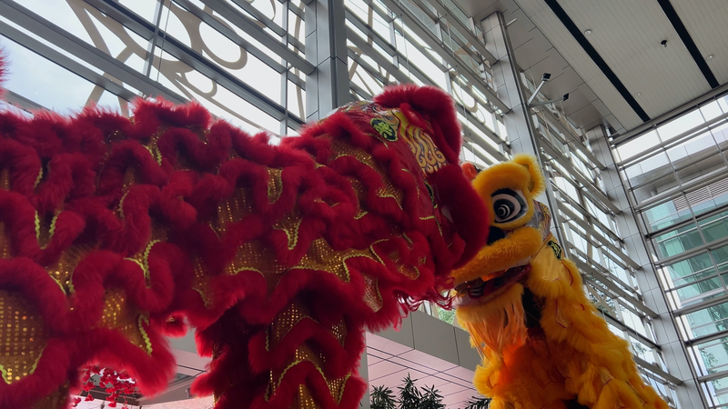 N9X2QY7BY5GFJF5GDHAL - 🌍NewspaperAmigo – Your Global News Buddy 🗞️ 🦁 Lion Dance Bridges China & Malaysia: Culture Unites! 🌏 video poster