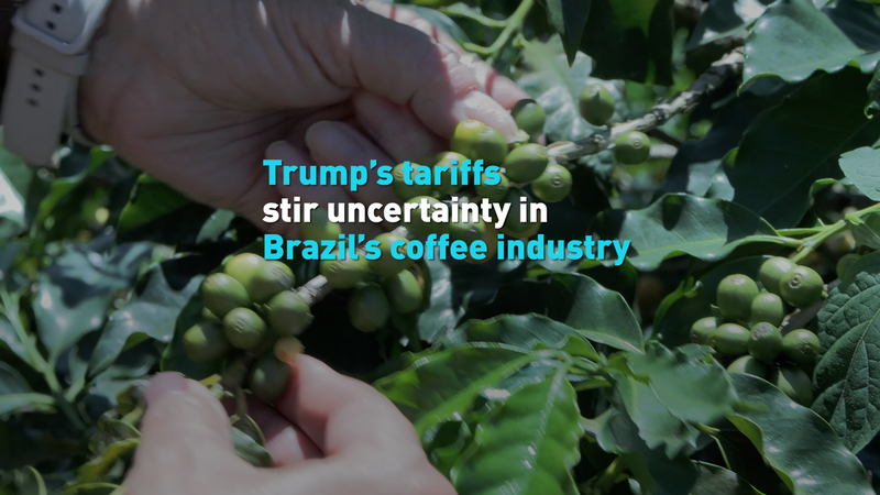 ☕ Trump Tariffs Shake Up Global Coffee Trade, Brazil Feels the Heat! ☕ Trump Tariffs Shake Up Global Coffee Trade, Brazil Feels the Heat! video poster