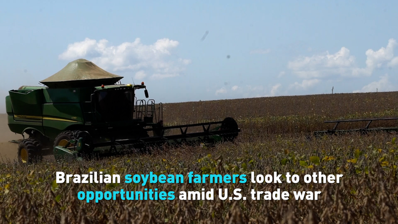 OYSLKGTG0AE96AC4CPTN - 🌍NewspaperAmigo – Your Global News Buddy 🗞️ 🌱 Brazil's Soybean Boom Amid U.S.-China Trade Tensions video poster