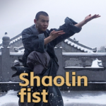 PO3O4N19YTKPU7R98JE6 - 🌍NewspaperAmigo – Your Global News Buddy 🗞️ Shaolin Kung Fu Unleashed: Where Fists Fly and Energy Flows 🌟🥋 video poster