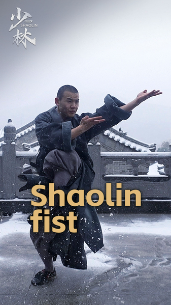 Shaolin Kung Fu Unleashed: Where Fists Fly and Energy Flows 🌟🥋 video poster