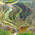 PPNYA1HBJU0IFU1TDGC2 - 🌍NewspaperAmigo – Your Global News Buddy 🗞️ ✨ Honghe Hani Rice Terraces Shine as Timeless UNESCO Gem 🌾