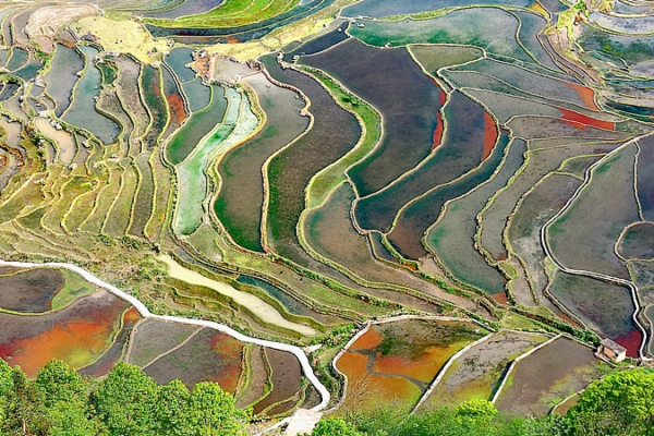 ✨ Honghe Hani Rice Terraces Shine as Timeless UNESCO Gem 🌾 ✨ Honghe Hani Rice Terraces Shine as Timeless UNESCO Gem 🌾