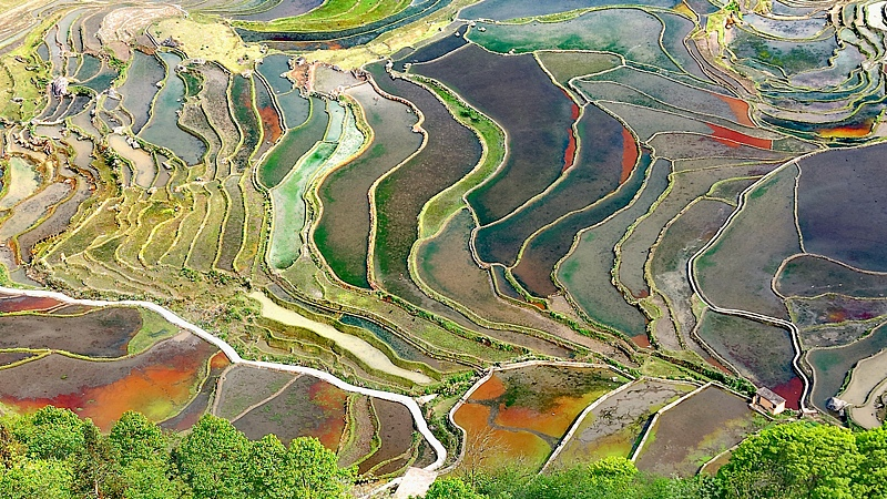 PPNYA1HBJU0IFU1TDGC2 - 🌍NewspaperAmigo – Your Global News Buddy 🗞️ ✨ Honghe Hani Rice Terraces Shine as Timeless UNESCO Gem 🌾