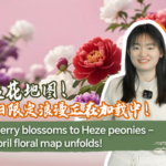 Q3QY9KCJF4AWN1CYI8ZA - 🌍NewspaperAmigo – Your Global News Buddy 🗞️ China’s Flower Power: April Blooms You Can’t Miss 🌸💥 video poster