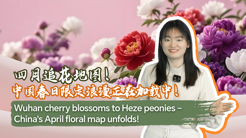 China’s Flower Power: April Blooms You Can’t Miss 🌸💥 video poster