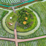 QF6KWBL1NHQL5BY80CC4 - 🌍NewspaperAmigo – Your Global News Buddy 🗞️ Hainan's Tropical Fruit Paradise 🌴🍍: A Taste of Global Biodiversity! video poster