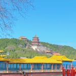 QP5TQZL6CS4NW9PBB7YX - 🌍NewspaperAmigo – Your Global News Buddy 🗞️ Spring Blooms at Beijing’s Summer Palace 🌸🏯