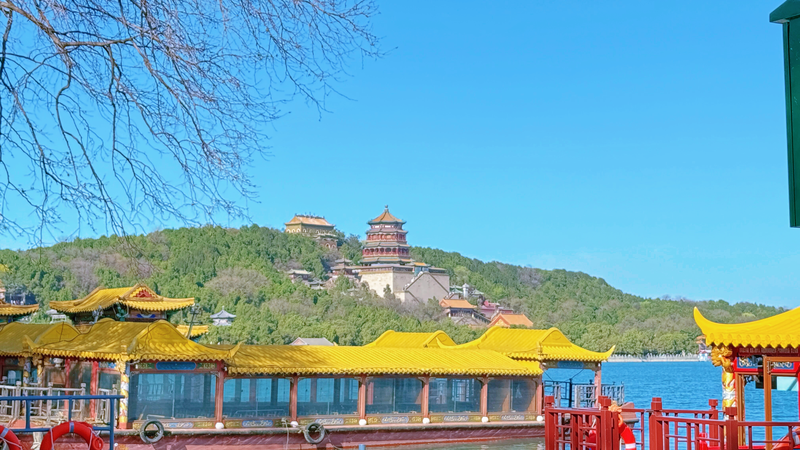 Spring Blooms at Beijing’s Summer Palace 🌸🏯