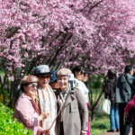 QWXWCQ3ZPZOI4AWXTV1V - 🌍NewspaperAmigo – Your Global News Buddy 🗞️ Qingming Festival Sparks Travel Boom & New Travel Trends 🚗🌸