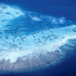 SDA2BO18595S3CZ0XH4J - 🌍NewspaperAmigo – Your Global News Buddy 🗞️ Great Barrier Reef Suffers Sixth Mass Bleaching Event 🌊🔥