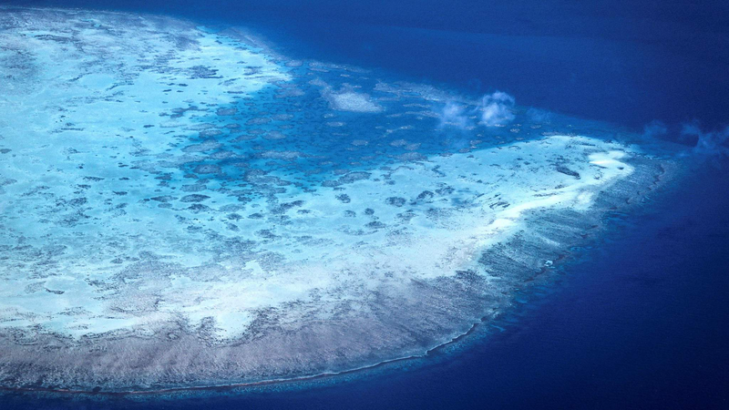 SDA2BO18595S3CZ0XH4J - 🌍NewspaperAmigo – Your Global News Buddy 🗞️ Great Barrier Reef Suffers Sixth Mass Bleaching Event 🌊🔥