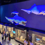 SICOGBXPQXAZL6W7U8HD - 🌍NewspaperAmigo – Your Global News Buddy 🗞️ 🌊 Dive into 4.6 Billion Years of Ocean History at Tianjin's Fossil Exhibit!