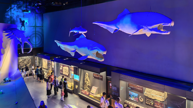 🌊 Dive into 4.6 Billion Years of Ocean History at Tianjin's Fossil Exhibit!